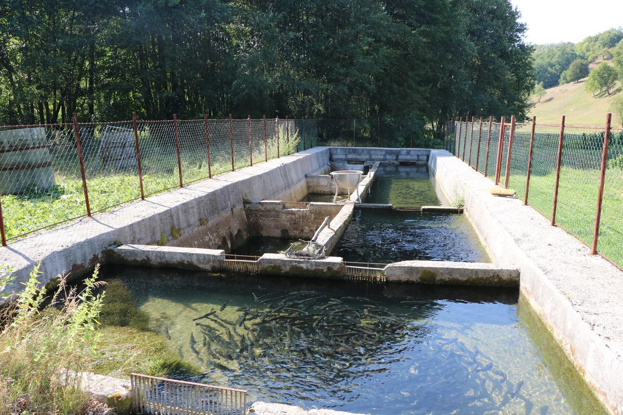 Hotel Eco Camp Dzogaska Vrela Pljevlja Exterior foto